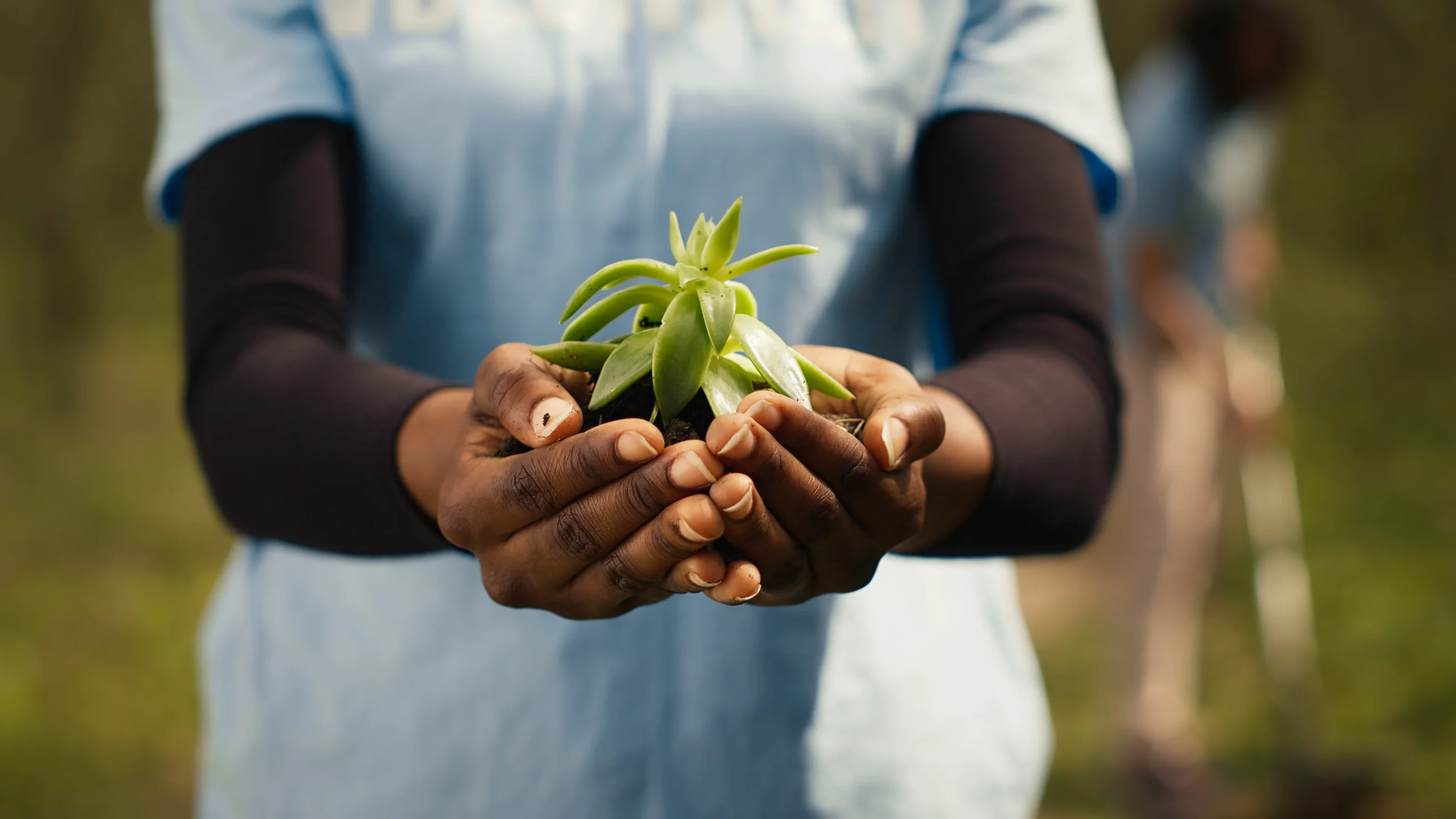 Proyecto: “1, 2, 3 Reforestemos Otra Vez” (2024)