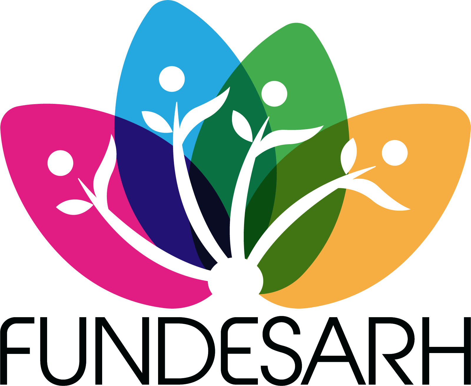 Fundación para el desarrollo humano en Colombia